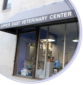 Upper East Veterinary Center