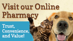 Banner of dog and cat linking to online pharmacy