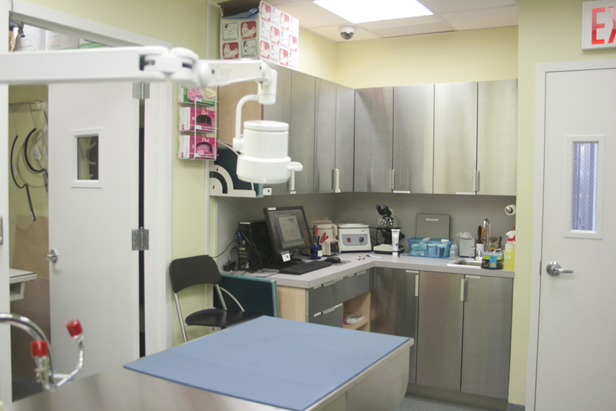 Treatment Area and Lab