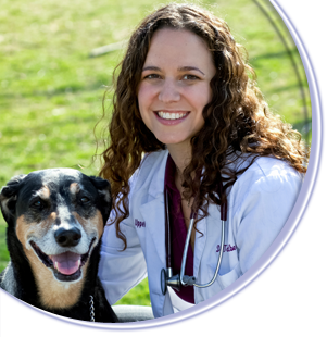 Photo of owner Dr. Talia Goldberg outside with her dog
