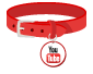 Small red dog collar with you tube logo on the name tag
