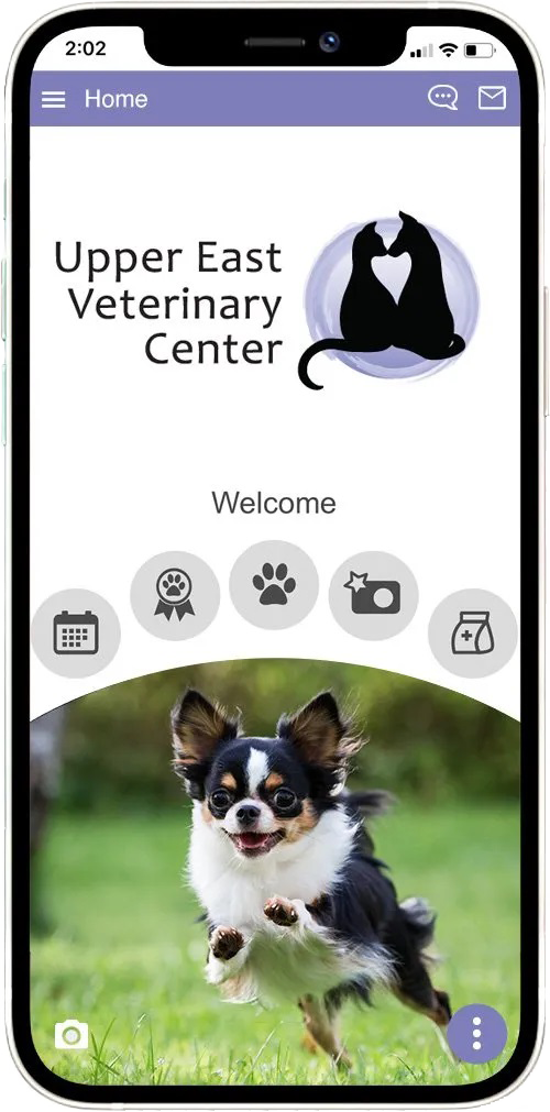 Image of cell phone and app interface for upper east vet